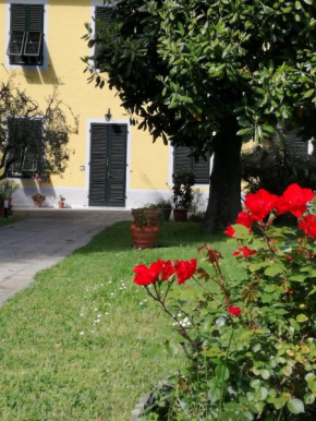 Casa Magnolia Lucca